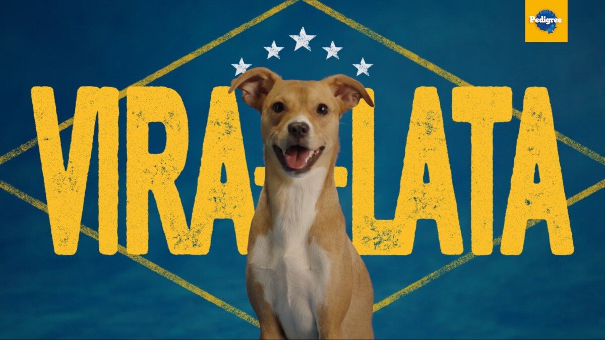 Imagem da matéria: Misses at Mail nº 12: a Copa delas + Sinapro-SP – 83 anos na seca + Vira-lata, com orgulho