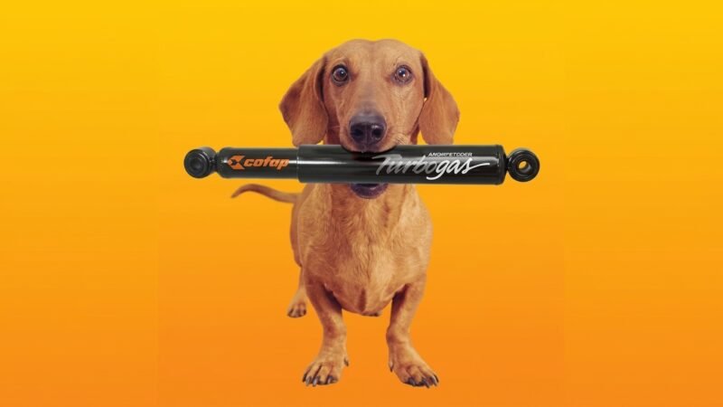 Imagem da matéria: Hora do Reclame: como o cachorro da Cofap virou nome de raça
